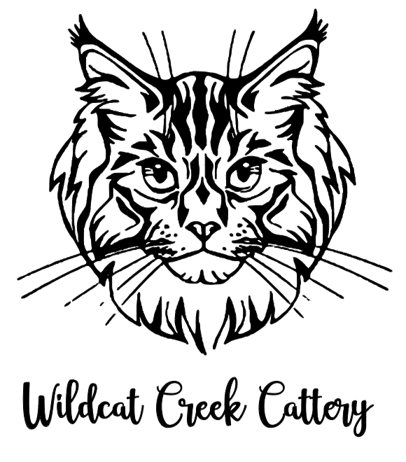 WILDCAT CREEK CATTERY LLC